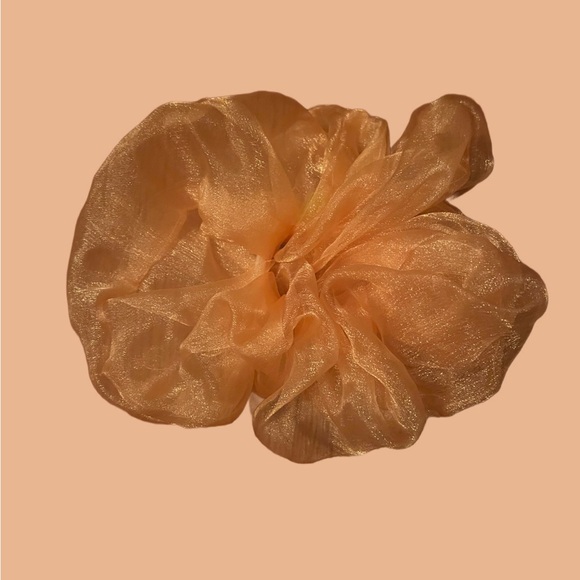 🎀Dreamy Room Shop Jumbo Scrunchies🎀